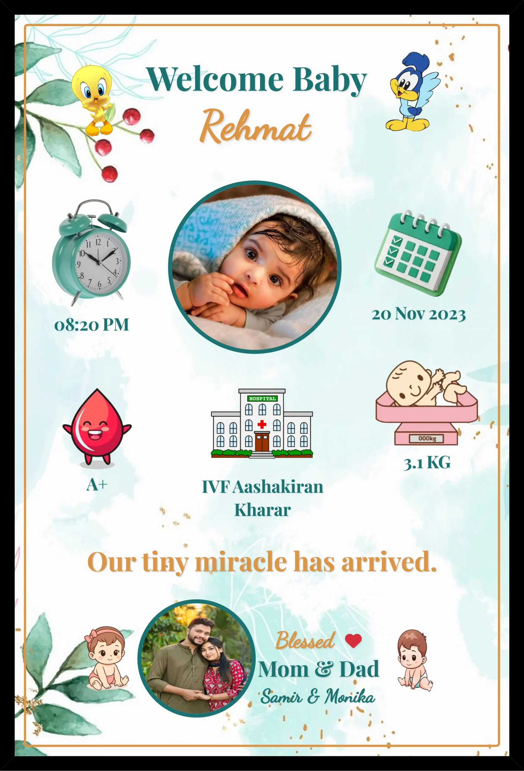 Private: Baby Birth Frame Customizable Memory for Life